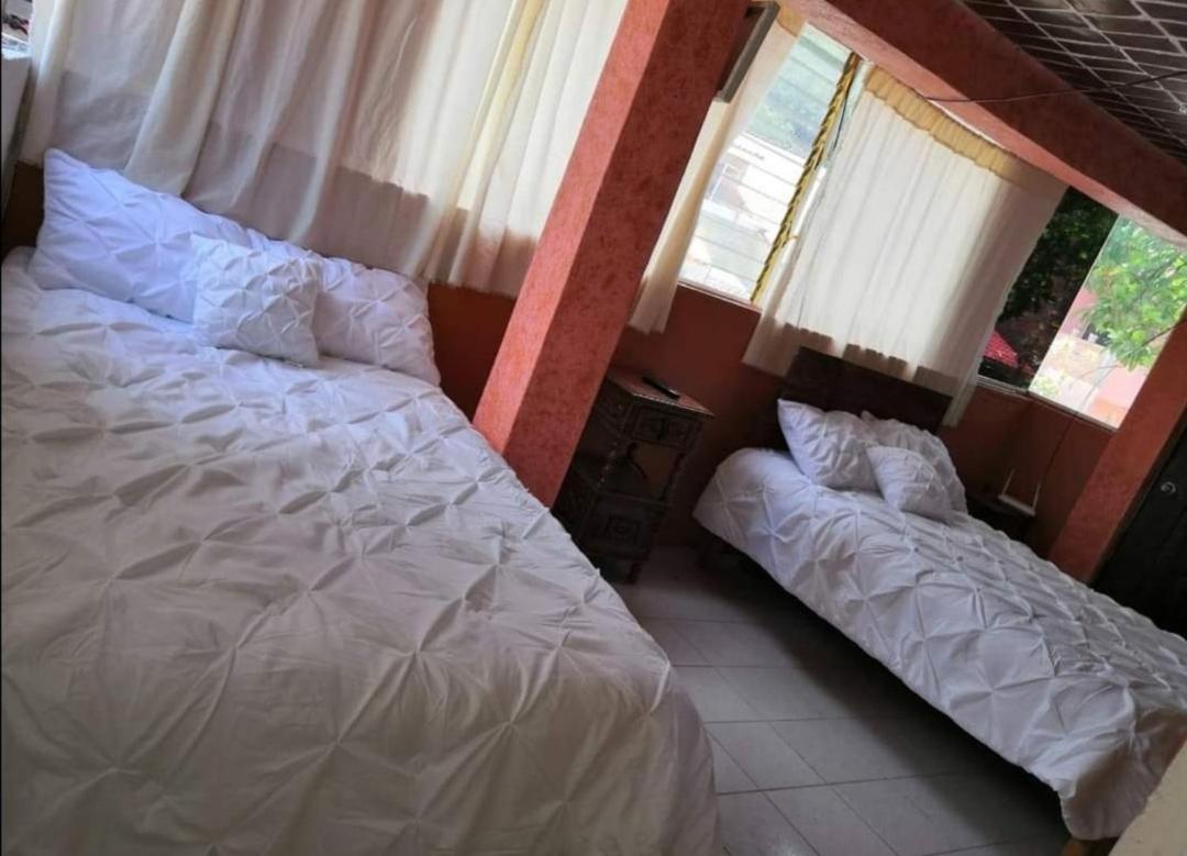 La Casa De Los Mangos Ajijic San Antonio Tlayacapan Buitenkant foto