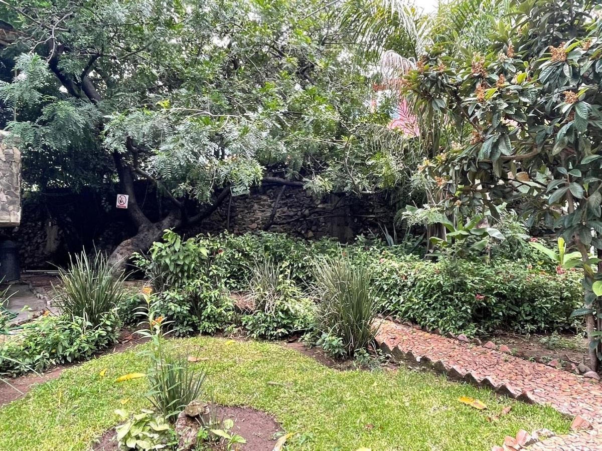 La Casa De Los Mangos Ajijic San Antonio Tlayacapan Buitenkant foto
