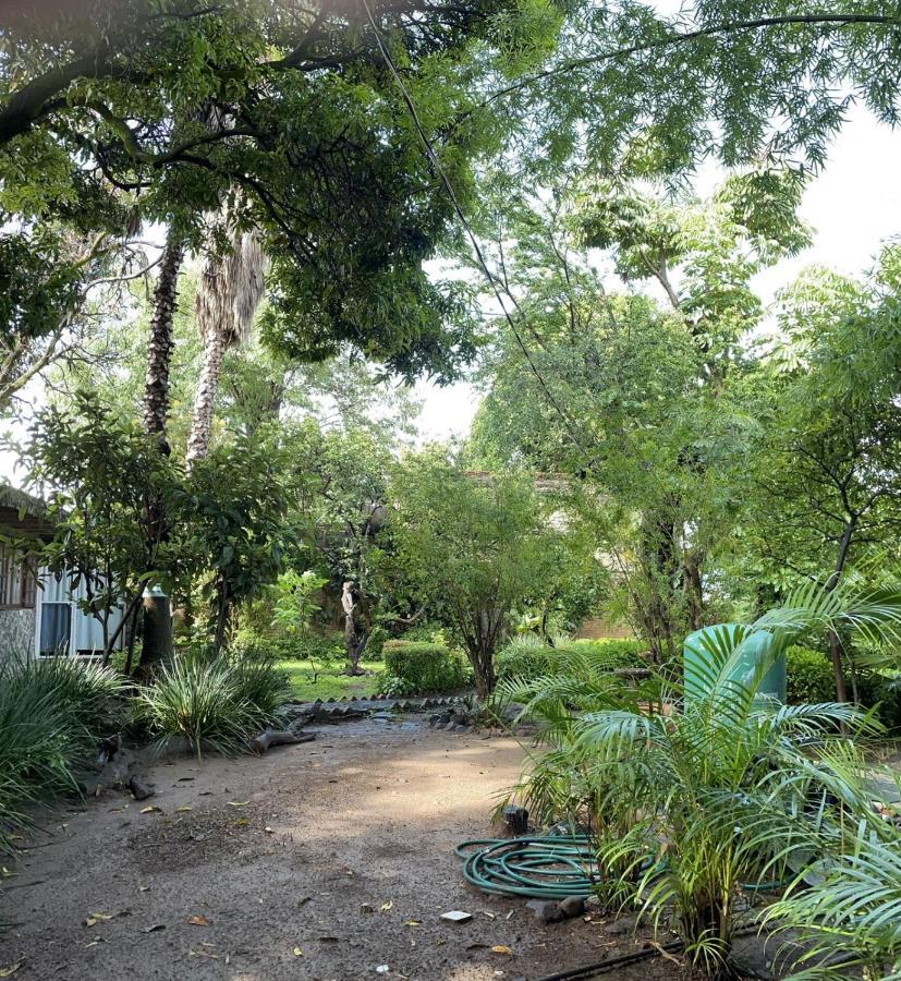 La Casa De Los Mangos Ajijic San Antonio Tlayacapan Buitenkant foto