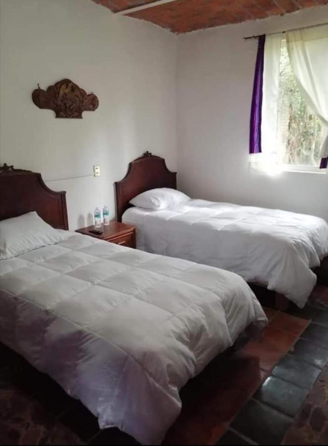 La Casa De Los Mangos Ajijic San Antonio Tlayacapan Buitenkant foto